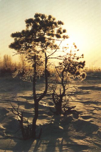 Зима на Севере